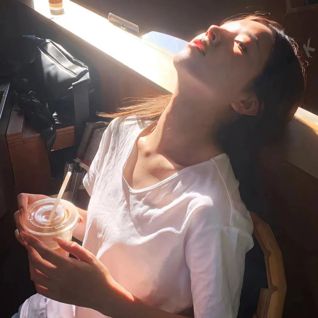 认识狗狗